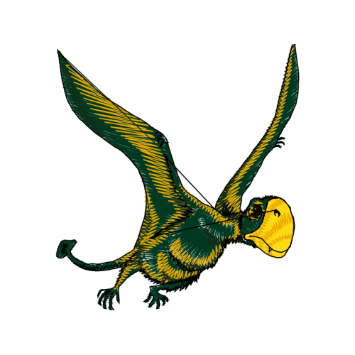 Illustration Animals Illustration Animals