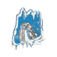 Illustration Animals Illustration Animals