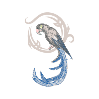 Illustration Animals