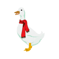 Illustration Animals