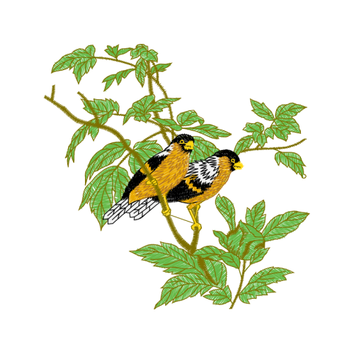 Illustration Animals Illustration Animals