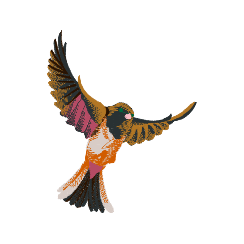 Illustration Animals Illustration Animals