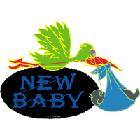 Illustration Animals Illustration Animals