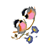 Illustration Animals Illustration Animals