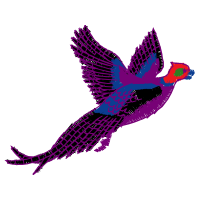 Illustration Animals Illustration Animals