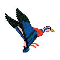 Illustration Animals Illustration Animals