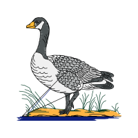 Illustration Animals Illustration Animals