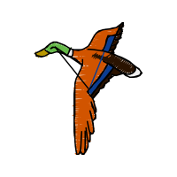 Illustration Animals Illustration Animals