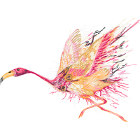 Illustration Animals