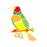 Illustration Animals