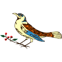 Illustration Animals