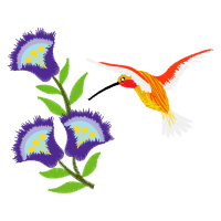 Illustration Animals