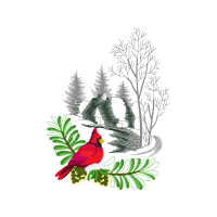 Illustration Animals