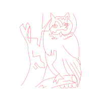 Illustration Animals