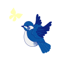 Illustration Animals Illustration Animals