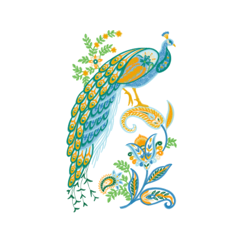 Illustration Animals Illustration Animals