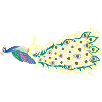 Illustration Animals