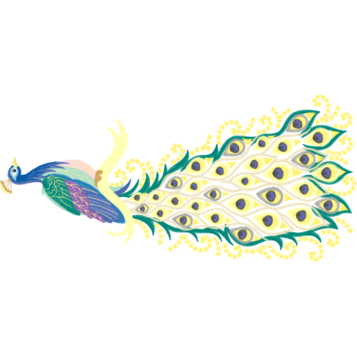 Illustration Animals Illustration Animals