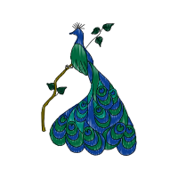 Illustration Animals Illustration Animals