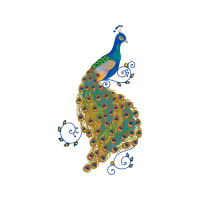 Illustration Animals Illustration Animals