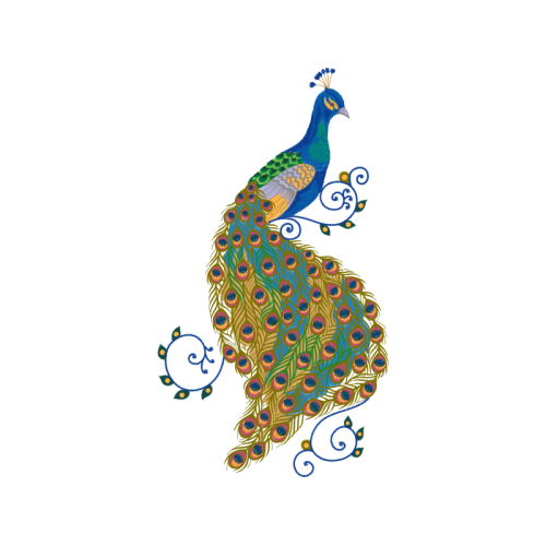 Illustration Animals Illustration Animals