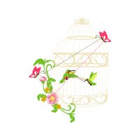 Illustration Animals