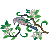 Illustration Animals