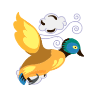 Illustration Animals