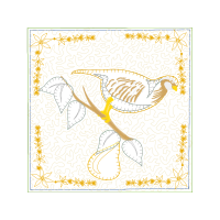 Illustration Animals