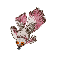 Illustration Animals