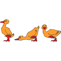 Illustration Animals Illustration Animals