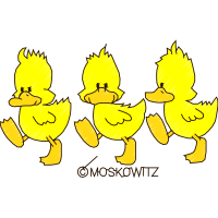 Illustration Animals