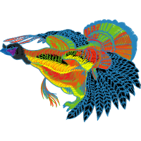 Illustration Animals