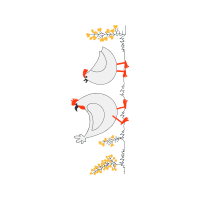 Illustration Animals