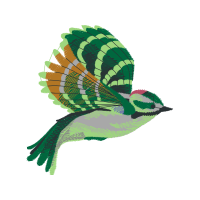 Illustration Animals Illustration Animals