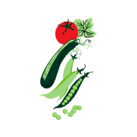 Illustration Animals Illustration Animals