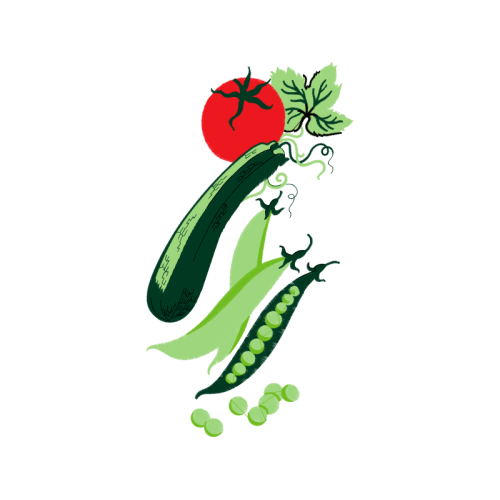 Illustration Animals Illustration Animals