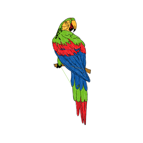 Illustration Animals Illustration Animals