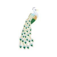 Illustration Animals