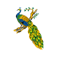 Illustration Animals