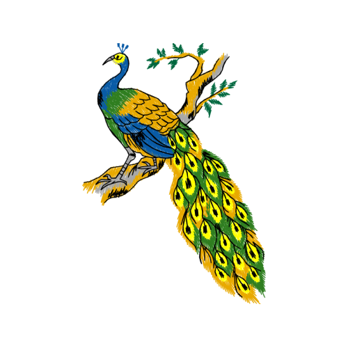 Illustration Animals Illustration Animals