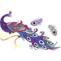 Illustration Animals