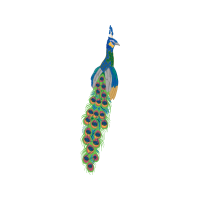 Illustration Animals Illustration Animals