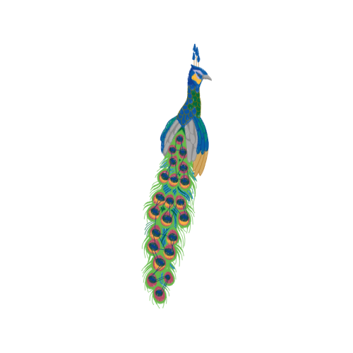 Illustration Animals Illustration Animals