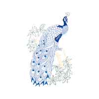 Illustration Animals Illustration Animals