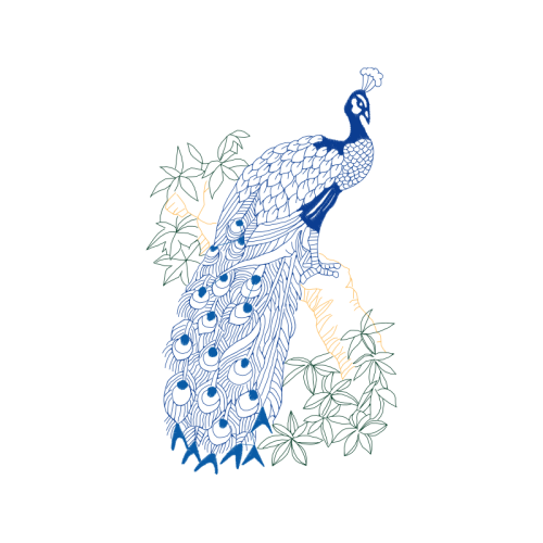 Illustration Animals Illustration Animals