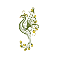 Illustration Animals