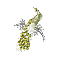 Illustration Animals