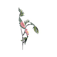 Illustration Animals