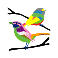 Illustration Animals Illustration Animals